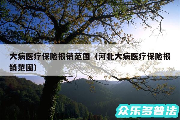 大病医疗保险报销范围以及河北大病医疗保险报销范围