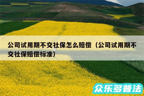 公司试用期不交社保怎么赔偿以及公司试用期不交社保赔偿标准