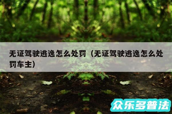 无证驾驶逃逸怎么处罚以及无证驾驶逃逸怎么处罚车主