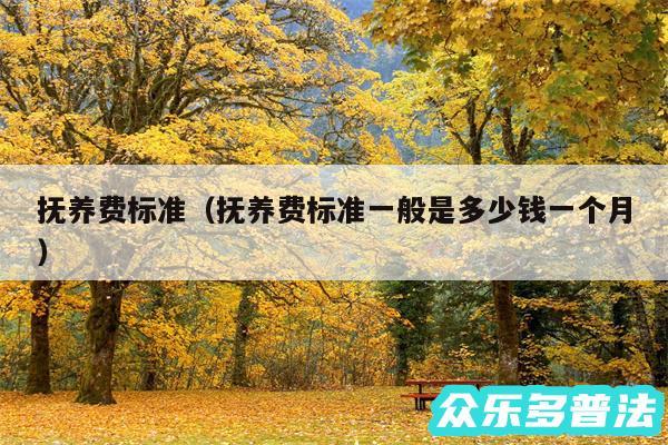 抚养费标准以及抚养费标准一般是多少钱一个月