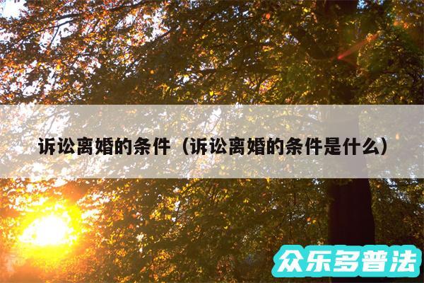 诉讼离婚的条件以及诉讼离婚的条件是什么