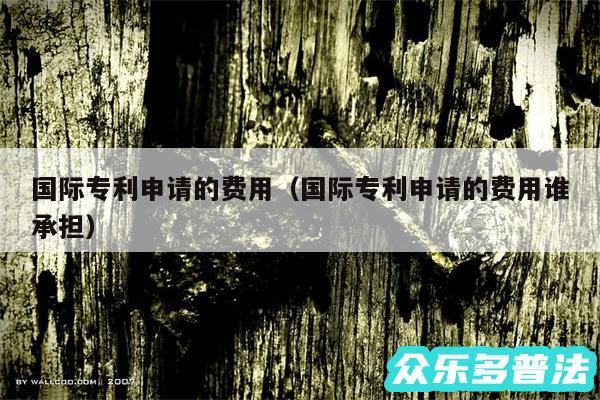 国际专利申请的费用以及国际专利申请的费用谁承担