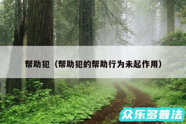 帮助犯以及帮助犯的帮助行为未起作用