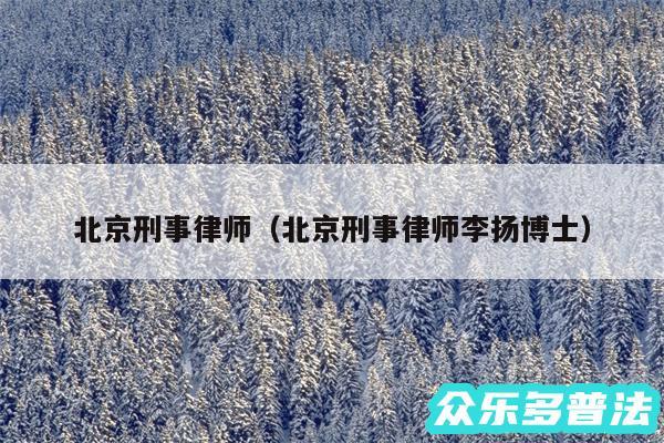 北京刑事律师以及北京刑事律师李扬博士