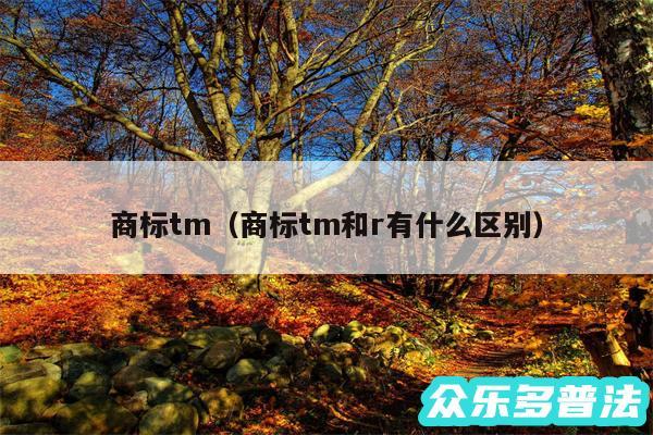 商标tm以及商标tm和r有什么区别