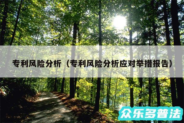 专利风险分析以及专利风险分析应对举措报告