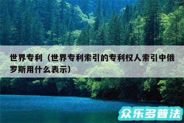 世界专利以及世界专利索引的专利权人索引中俄罗斯用什么表示