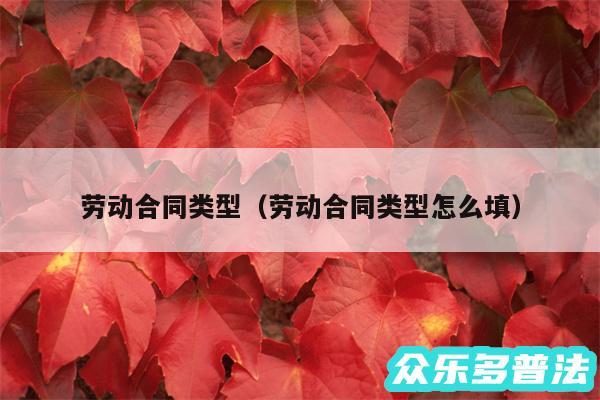 劳动合同类型以及劳动合同类型怎么填
