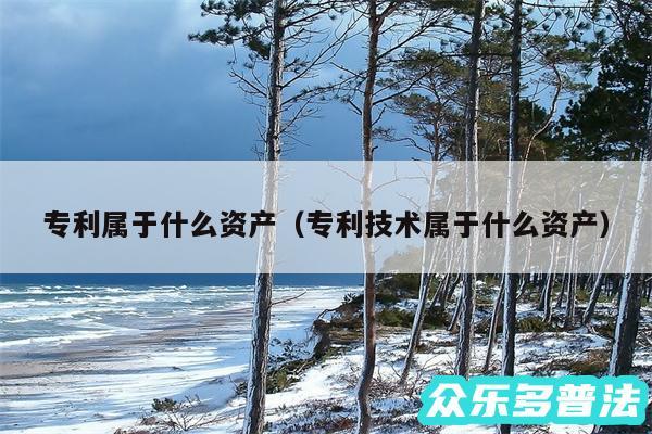 专利属于什么资产以及专利技术属于什么资产