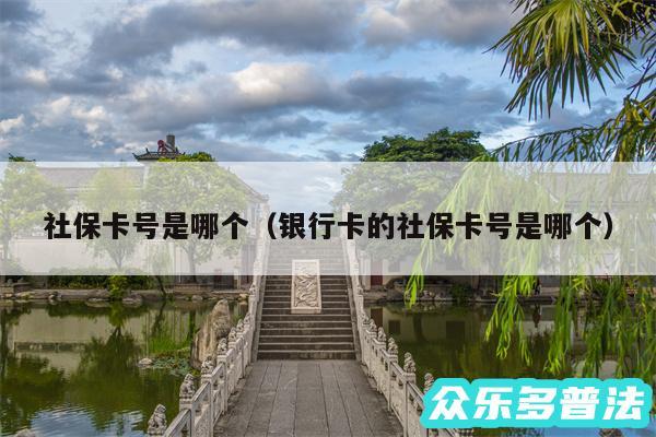 社保卡号是哪个以及银行卡的社保卡号是哪个
