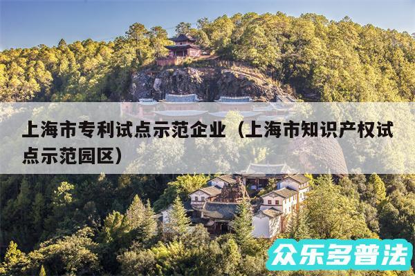 上海市专利试点示范企业以及上海市知识产权试点示范园区