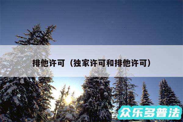 排他许可以及独家许可和排他许可