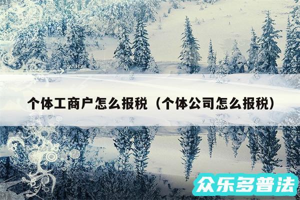 个体工商户怎么报税以及个体公司怎么报税