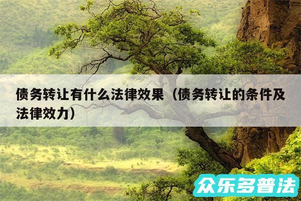 债务转让有什么法律效果以及债务转让的条件及法律效力
