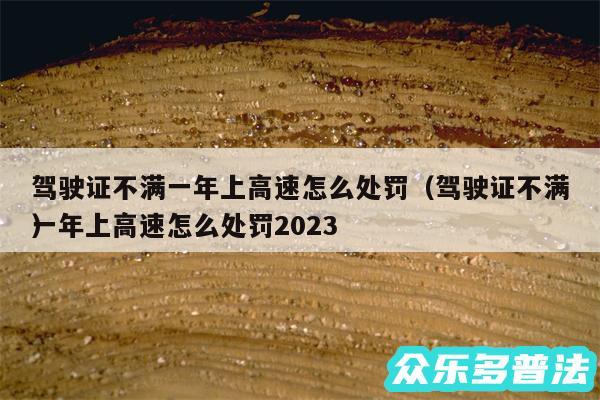 驾驶证不满一年上高速怎么处罚以及驾驶证不满一年上高速怎么处罚2024