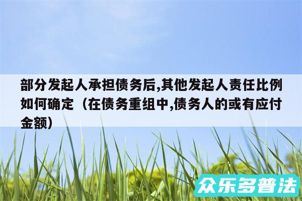 部分发起人承担债务后,其他发起人责任比例如何确定以及在债务重组中,债务人的或有应付金额