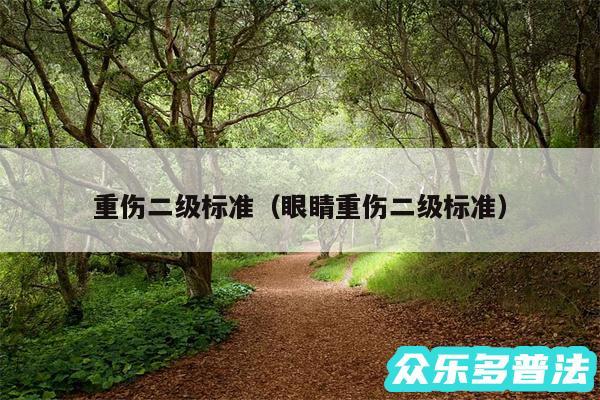 重伤二级标准以及眼睛重伤二级标准
