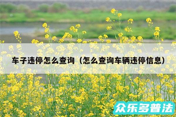 车子违停怎么查询以及怎么查询车辆违停信息