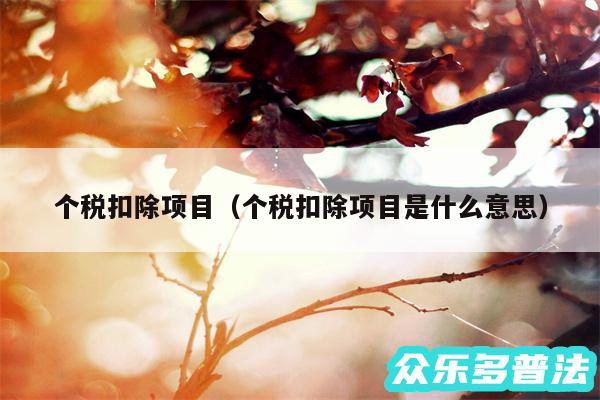 个税扣除项目以及个税扣除项目是什么意思