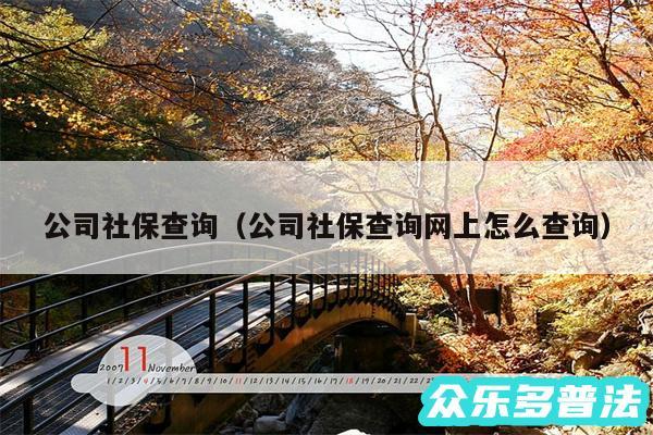 公司社保查询以及公司社保查询网上怎么查询