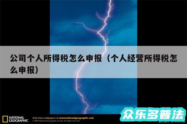 公司个人所得税怎么申报以及个人经营所得税怎么申报
