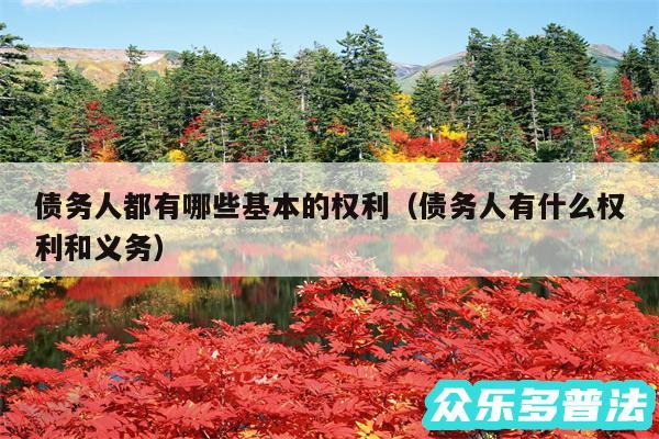 债务人都有哪些基本的权利以及债务人有什么权利和义务
