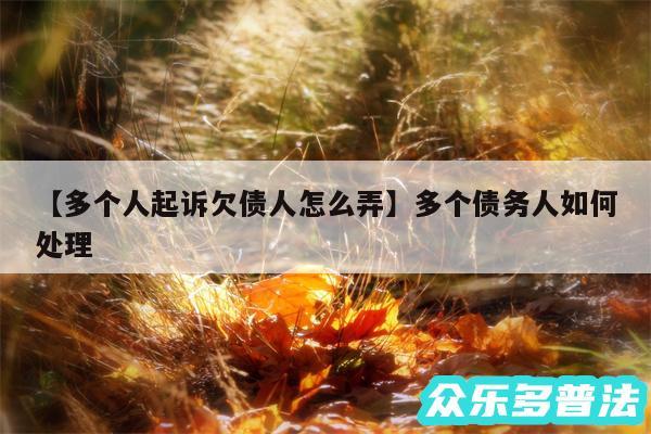 多个人起诉欠债人怎么弄还有多个债务人如何处理