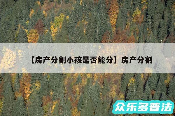房产分割小孩是否能分还有房产分割