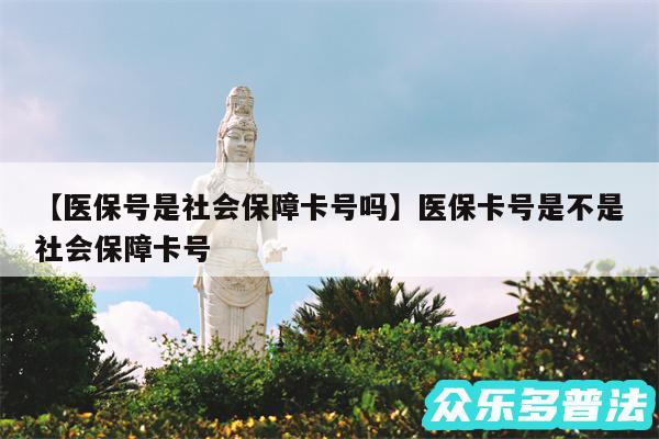 医保号是社会保障卡号吗还有医保卡号是不是社会保障卡号