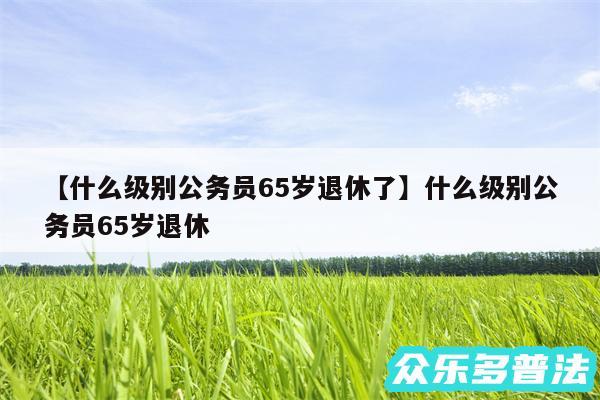 什么级别公务员65岁退休了还有什么级别公务员65岁退休