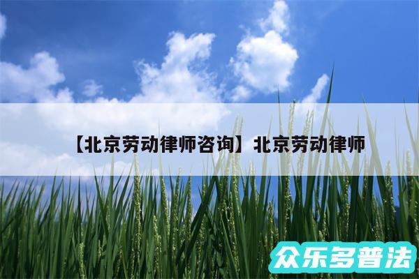 北京劳动律师咨询还有北京劳动律师