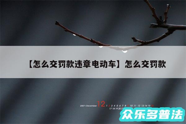 怎么交罚款违章电动车还有怎么交罚款