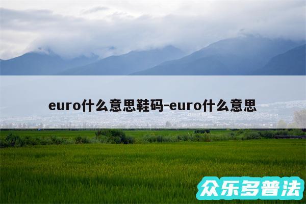 euro什么意思鞋码-euro什么意思