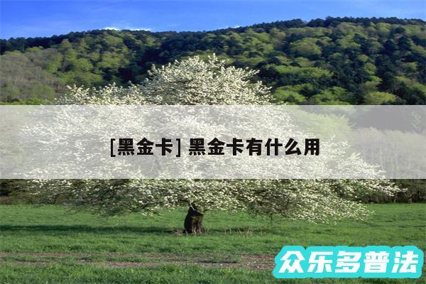 及黑金卡 黑金卡有什么用