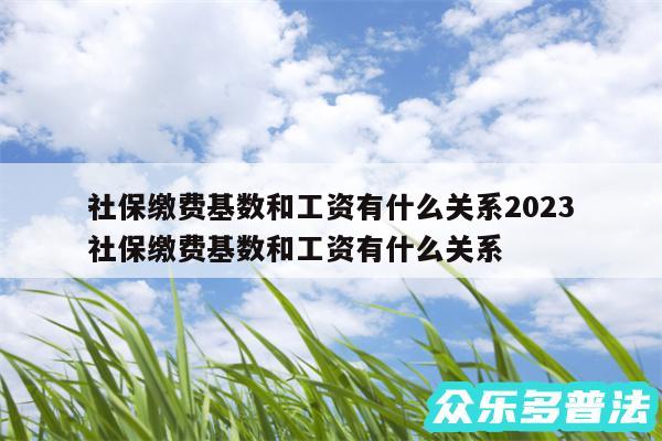 社保缴费基数和工资有什么关系2024-社保缴费基数和工资有什么关系
