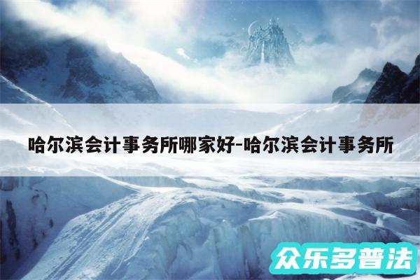 哈尔滨会计事务所哪家好-哈尔滨会计事务所