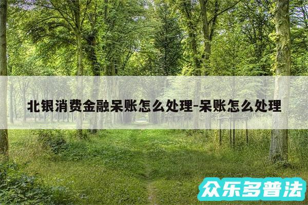 北银消费金融呆账怎么处理-呆账怎么处理