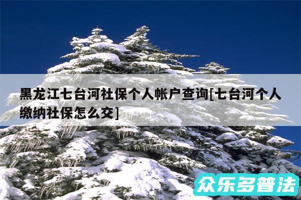 黑龙江七台河社保个人帐户查询及七台河个人缴纳社保怎么交