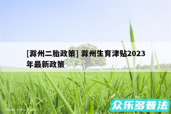 及滁州二胎政策 滁州生育津贴2024
年最新政策