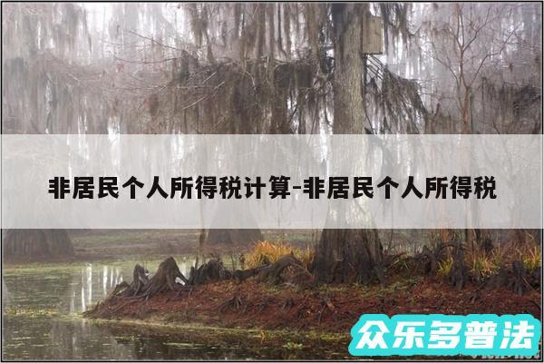 非居民个人所得税计算-非居民个人所得税