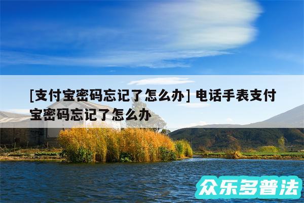 及支付宝密码忘记了怎么办 电话手表支付宝密码忘记了怎么办