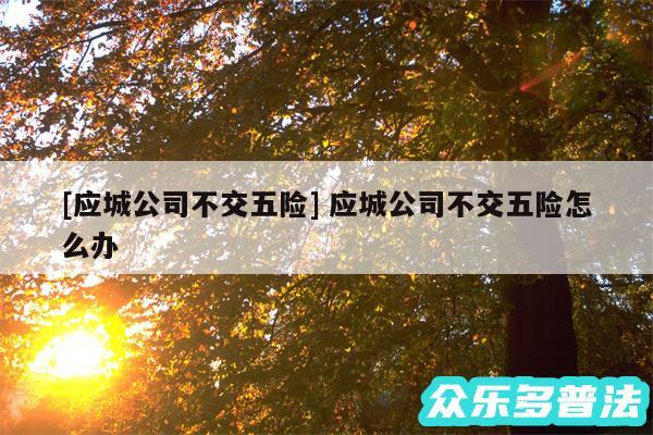 及应城公司不交五险 应城公司不交五险怎么办
