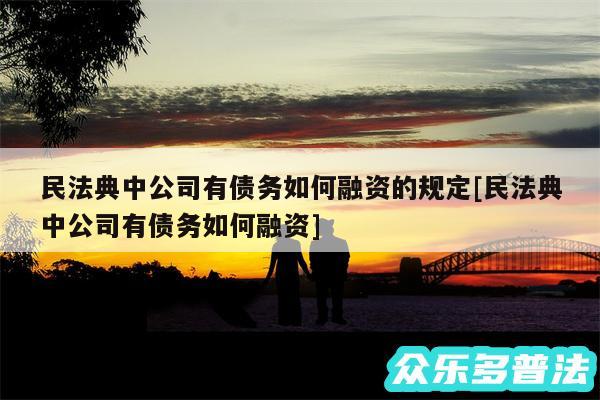 民法典中公司有债务如何融资的规定及民法典中公司有债务如何融资