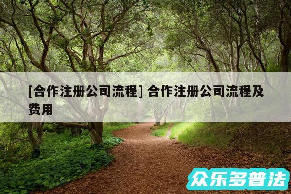 及合作注册公司流程 合作注册公司流程及费用