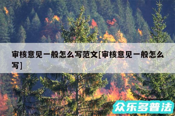 审核意见一般怎么写范文及审核意见一般怎么写