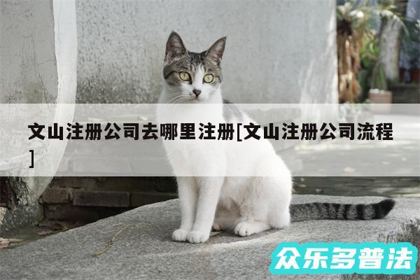 文山注册公司去哪里注册及文山注册公司流程