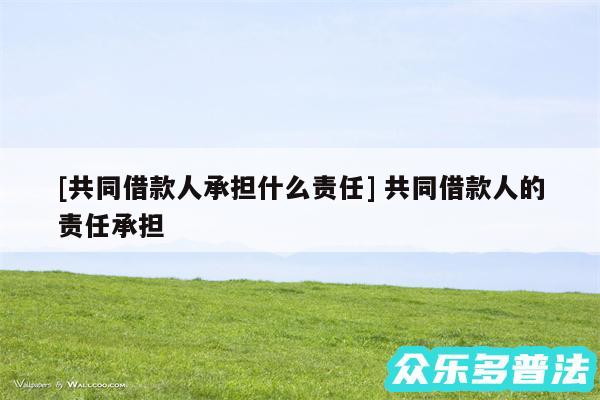及共同借款人承担什么责任 共同借款人的责任承担