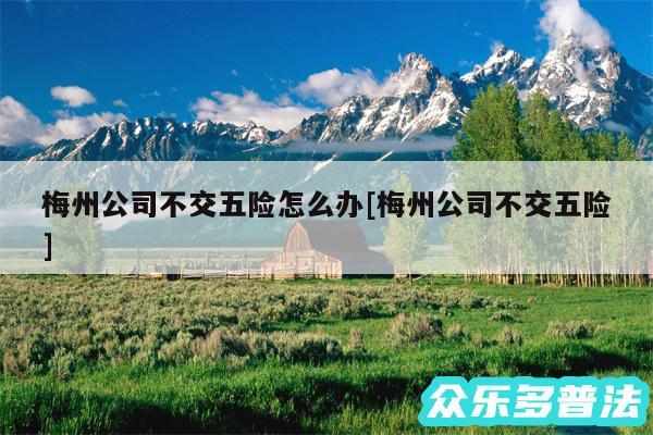 梅州公司不交五险怎么办及梅州公司不交五险