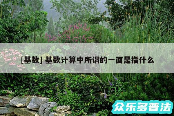 及基数 基数计算中所谓的一面是指什么