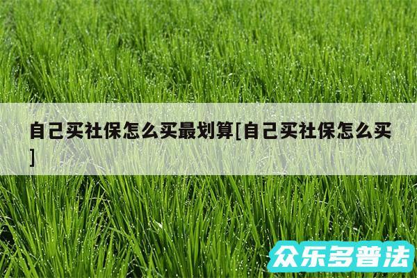 自己买社保怎么买最划算及自己买社保怎么买